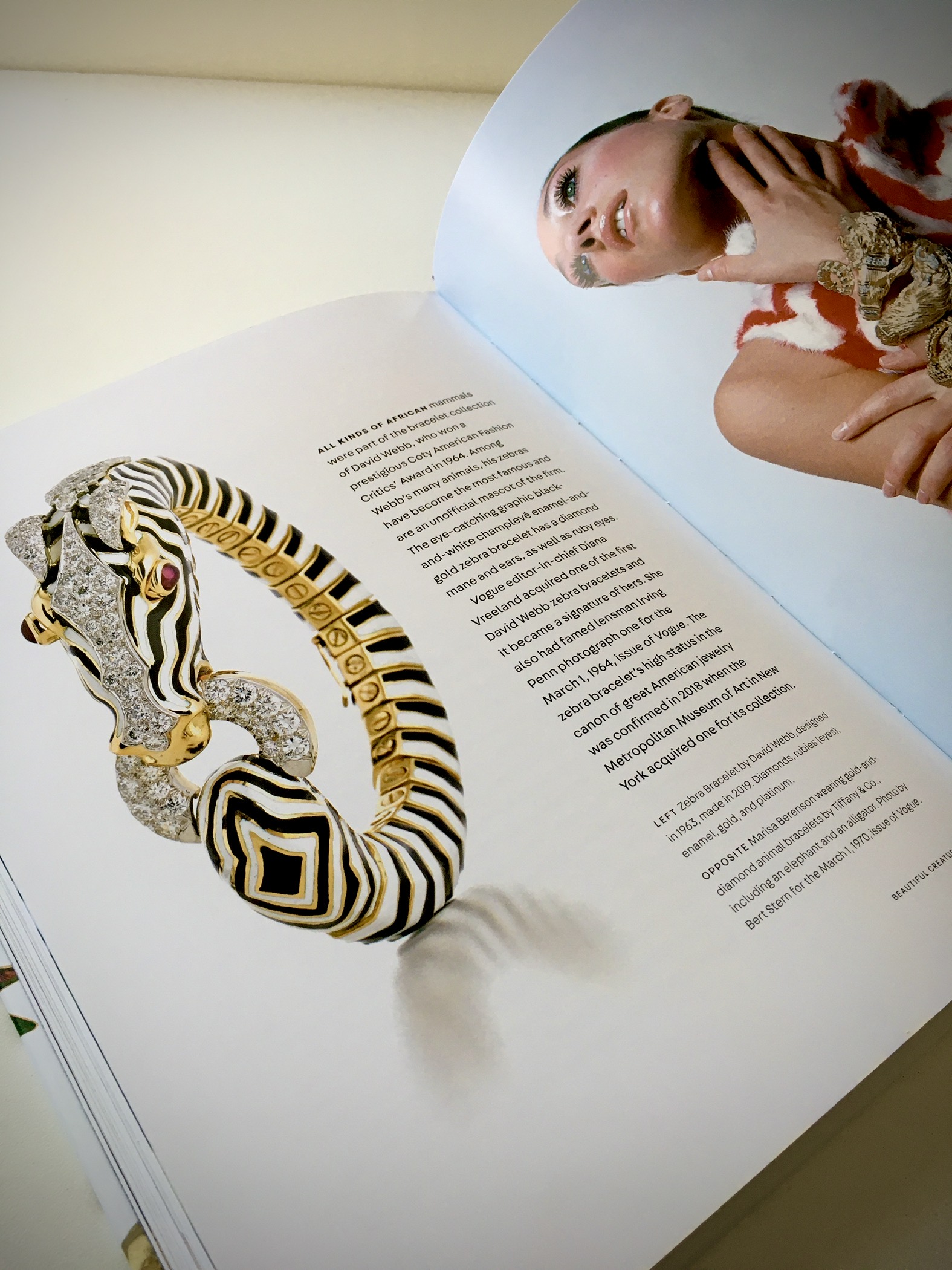 Beautiful Creatures by Mario Fasel Review 2020